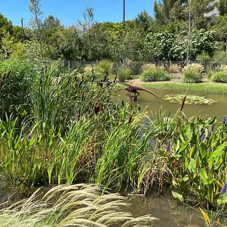 Studio Les Pieds Dans L'eau